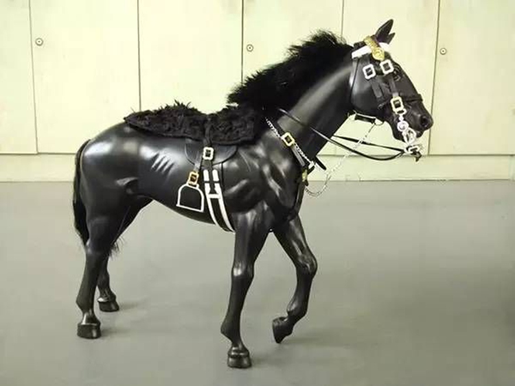 Comparaison entre les chevaux au 1/6ème Ne-roy11