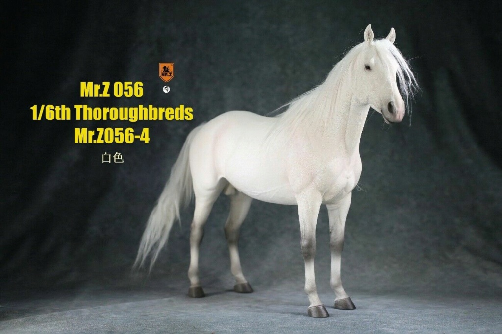 Nouveau cheval 1/6  chez MRZ - Page 2 S-l16015