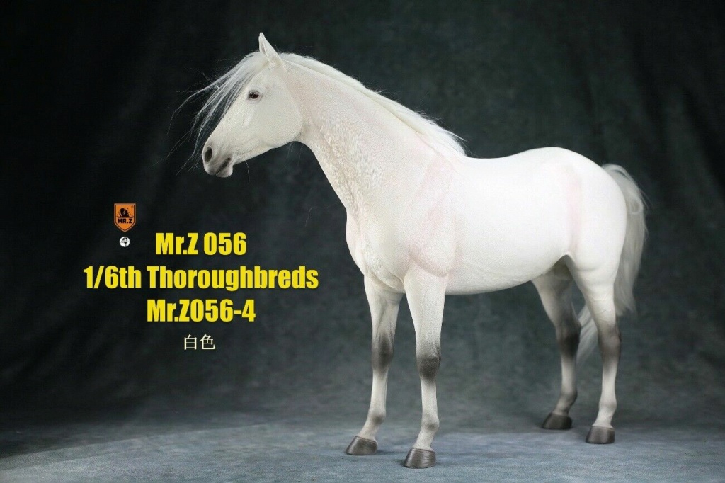 Comparaison entre les chevaux au 1/6ème S-l16018