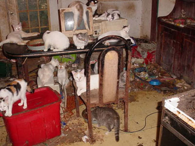 Le syndrome de Noé Animal10