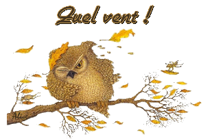 mercredi 24 octobre 001110