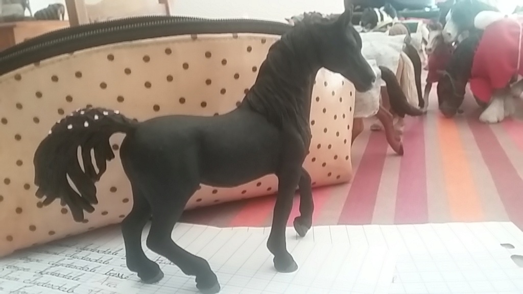 Ma p'tite collection horses 20180811