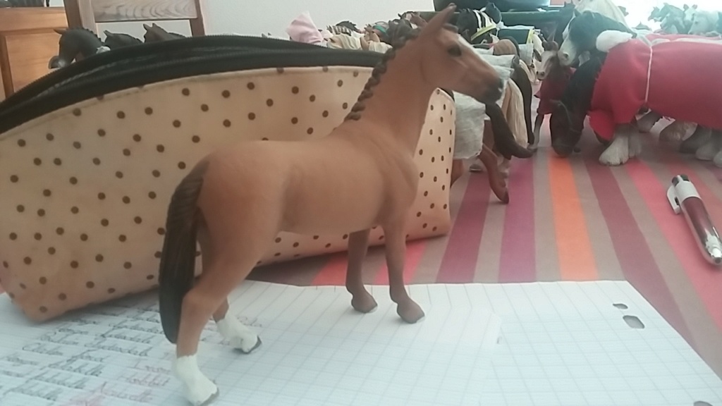 Ma p'tite collection horses 20180814