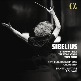Les Symphonies de Sibelius (2) - Page 5 Aj100810