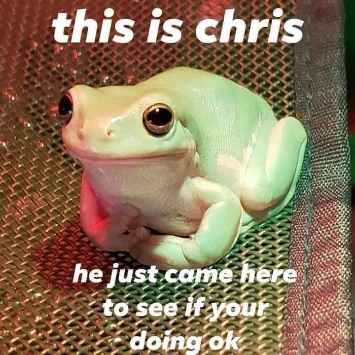 Chris the Frog 24587410