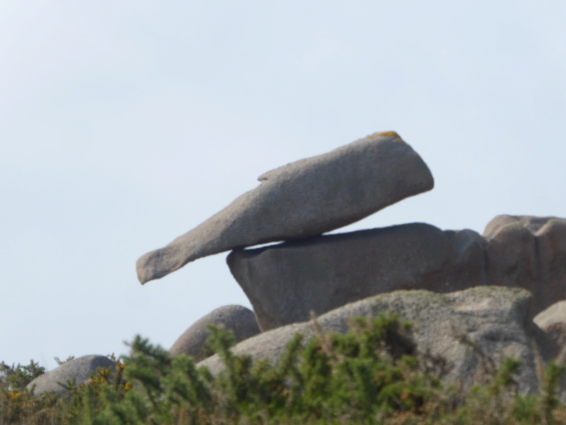 les côtes de granit rose et de Goélo P1190010