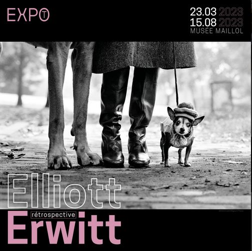 Elliott Erwitt - Page 3 Erwitt11