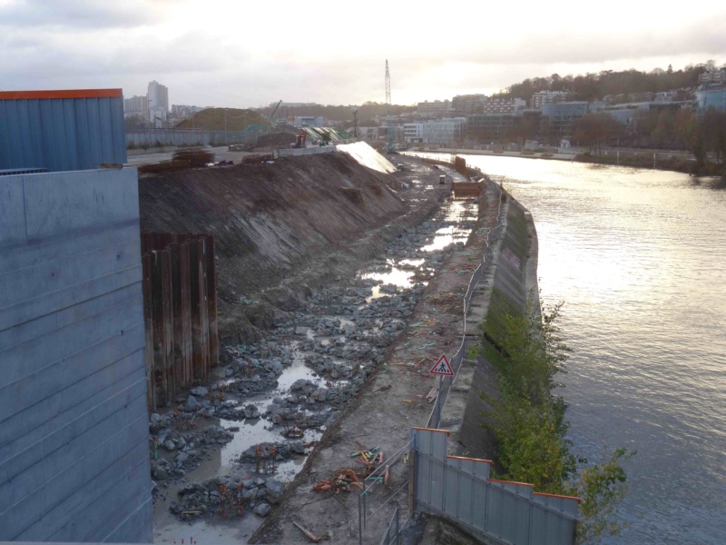 Travaux sur la partie centrale de l'île Seguin - Page 2 Dsc00933