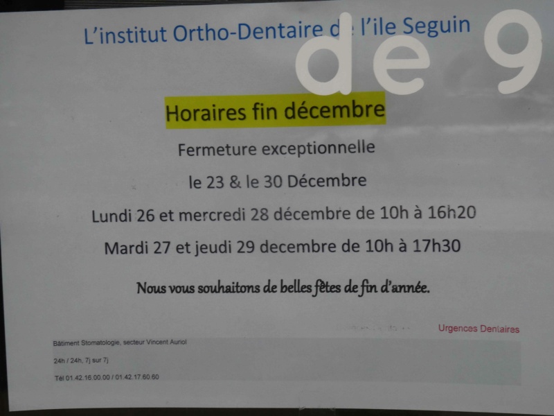 Institut Ortho-Dentaire de l'île Seguin Dsc01175