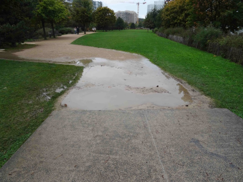 Parc de Billancourt - Partie Ouest Dsc03812