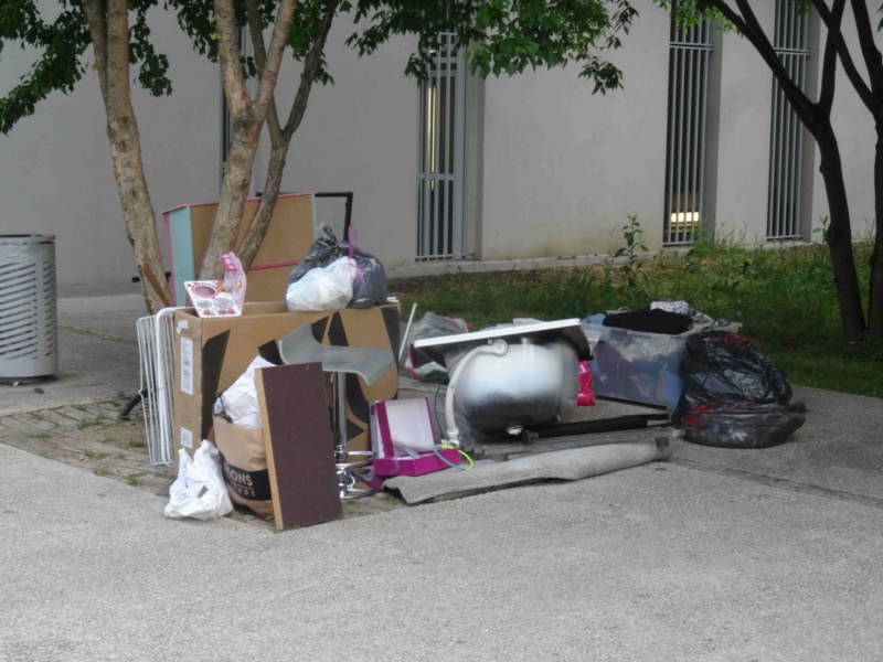 Encombrants, déchets, poubelles et caddies Dsc04730