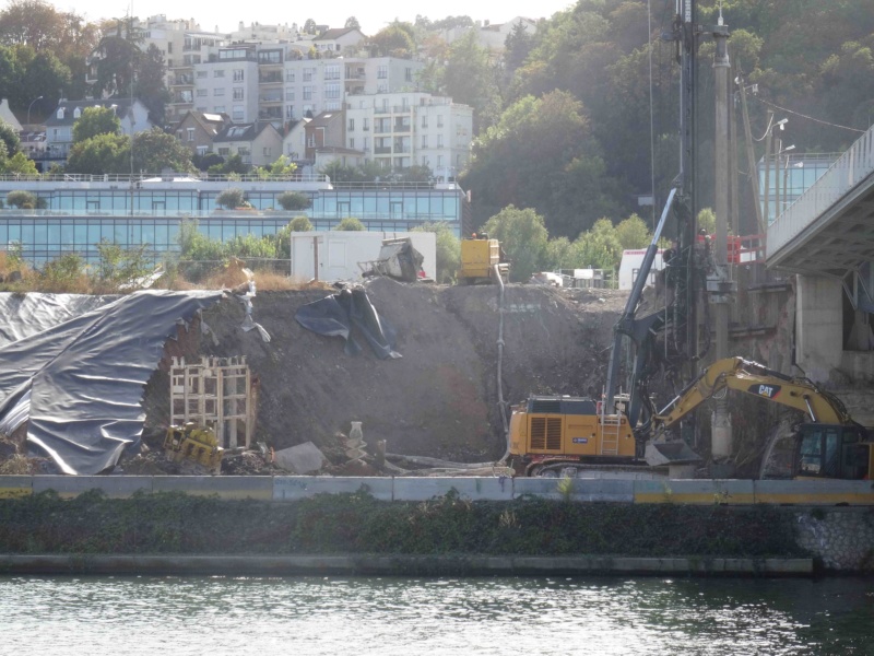 Travaux sur la partie centrale de l'île Seguin - Page 2 Dsc09927