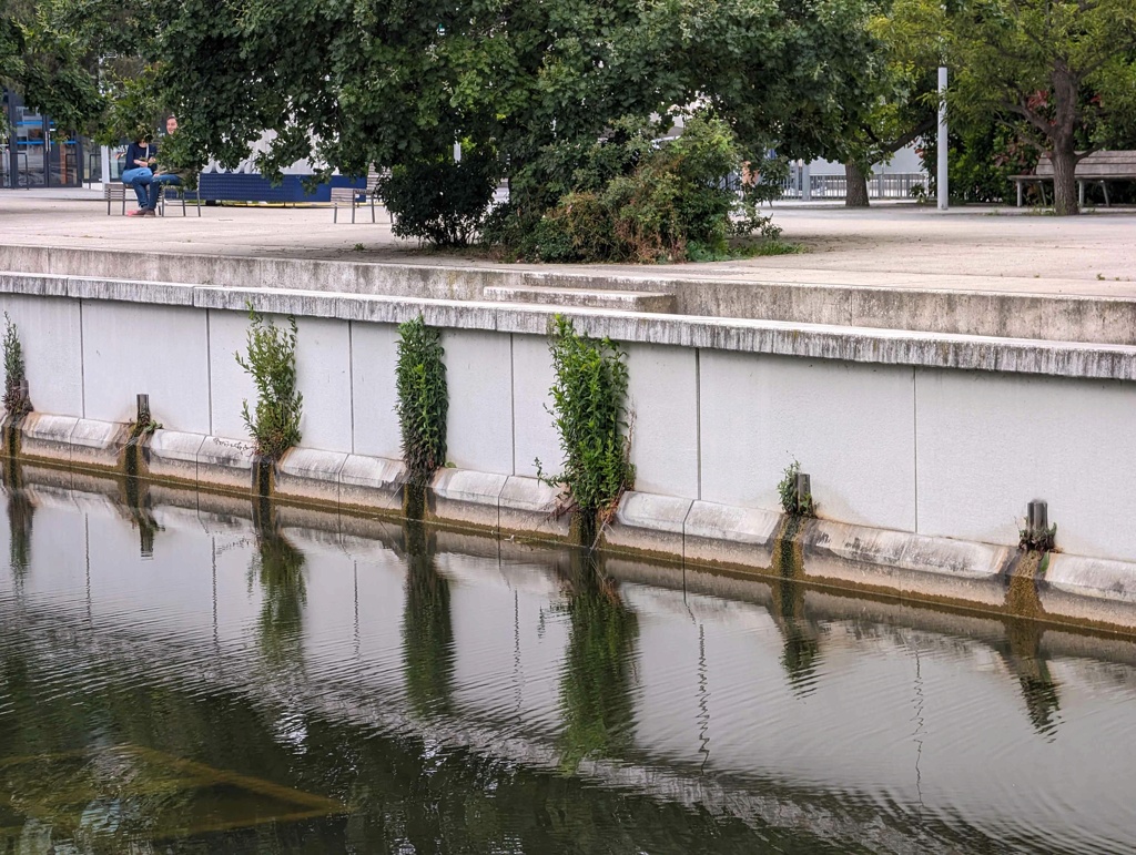 Bassin du Parc de Billancourt Pxl_2419