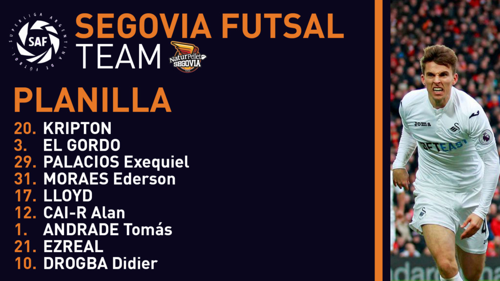 Segovia Futsal Planil17