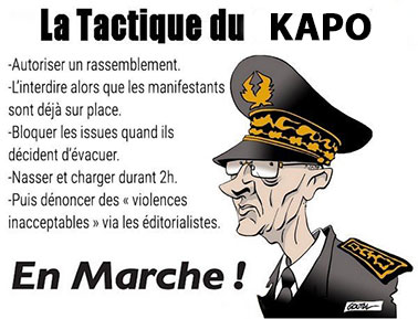 Réponse à la meute médiatique. Kapo10