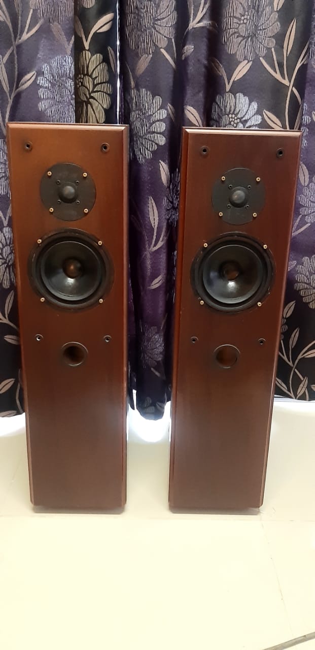 Ruark Acoustics floor stand speaker (used) SOLD Whats377