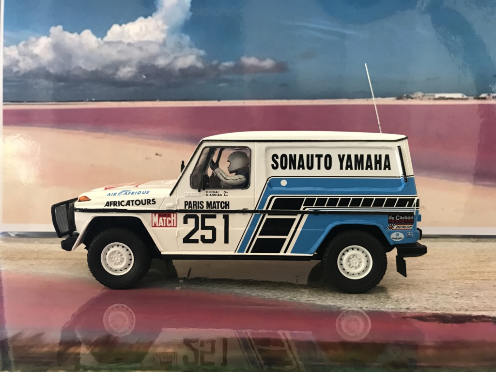 1/24 mes montages sur le DAKAR 48501b10