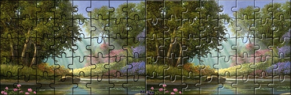 N° 19 PFS " Effet Puzzle " - Page 2 Pfz-1910