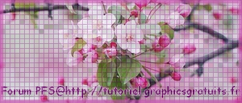 N ° 41 PFS " Fond Bannière " :" Effet Mosaïque" Pfz-4110