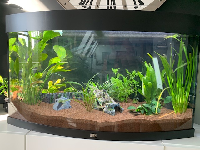 population pour un 180L Aquari12