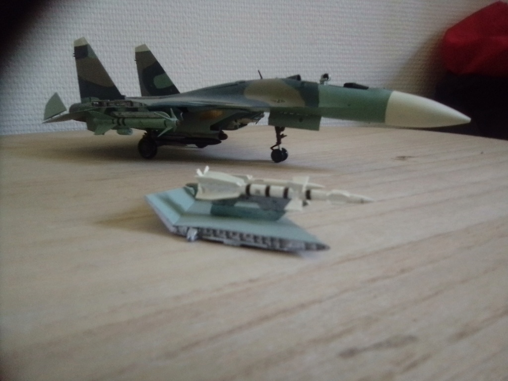SU-33 Flanker D, f-18 Hornet et SU-50 Img_2021