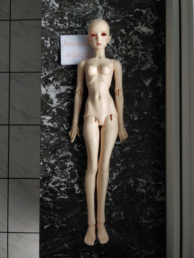 [ V ] Volks Ayumu (200€ nude - 230€ fullset) 0110