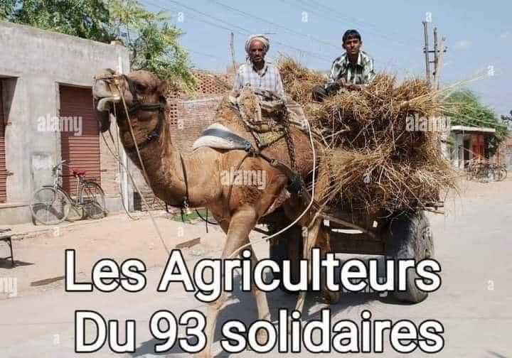 Les agriculteurs en lutte - Page 8 17066111