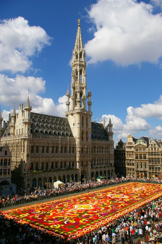 Le tapis de fleurs sur la grand-place de Bruxelles Sg1l7210