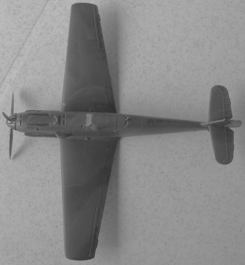 Messerschmitt Bf 109E-3 (captured serial AE479) [HobbyBoss] 1/72 - Page 3 P1010748