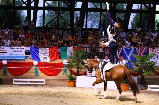 Acrobaties a cheval 7899010
