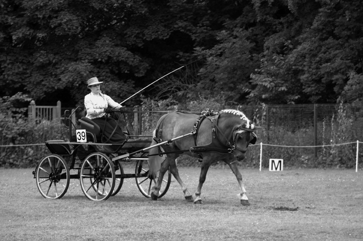 Enfin une présentation... Dsc_4910