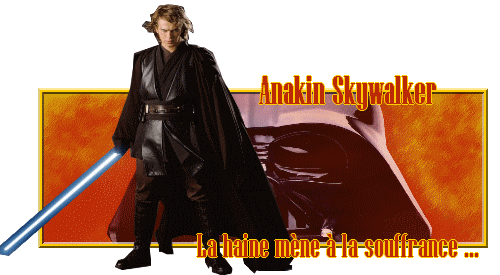 Gallerie du Dragon Anakin10