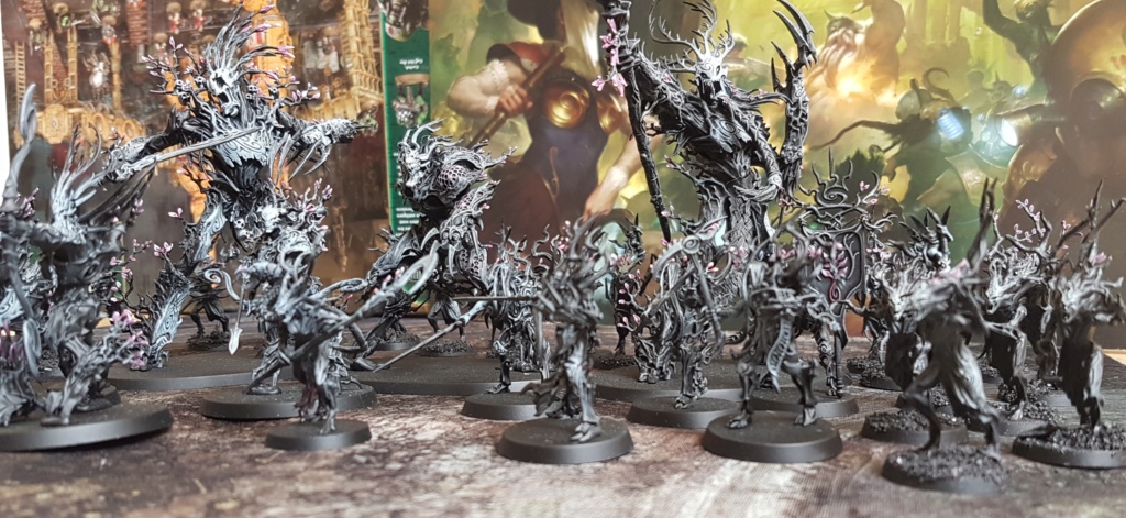 [Daman]Sylvaneth 20190310