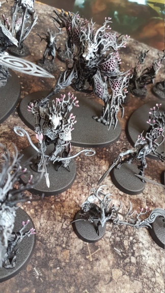 [Daman]Sylvaneth 20190313