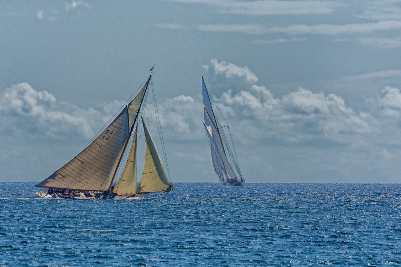 Voiles dans la baie de Cannes Dsc_8810