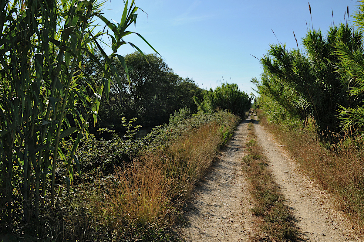 Thème du mois de mars 2019 :  Routes et chemins Tc1_6810