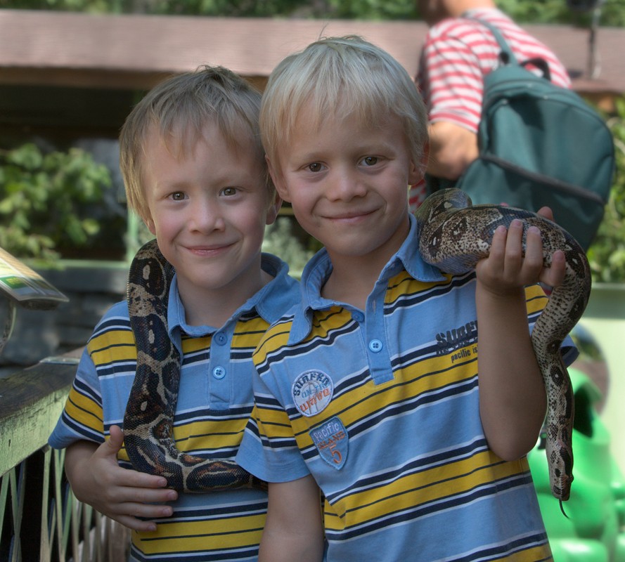 My twins share my addiction to snakes Zwilli10