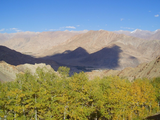 Destination Ladakh (Juillet 08) P9260314