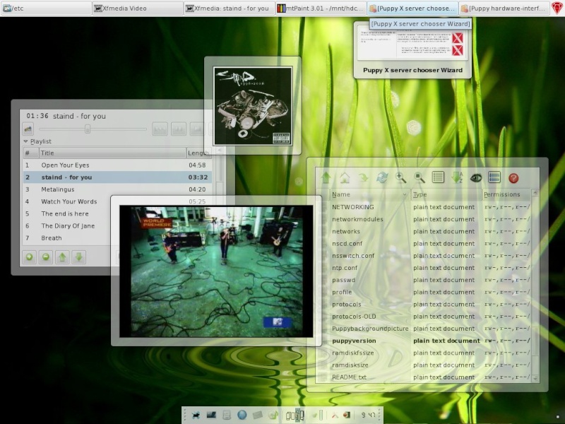 Link download Teedows Linux Professional 2008 Beta1 Snapsh10