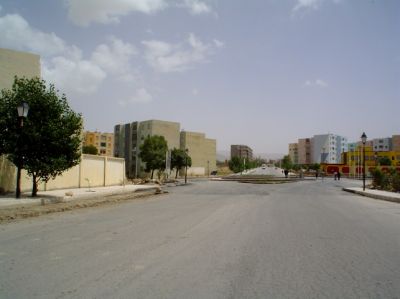 بلدية برج الغدير .... 2010