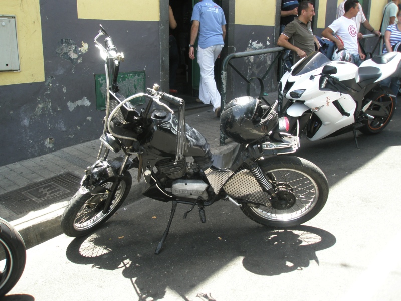 Autentica Harley Canaria 13tm310