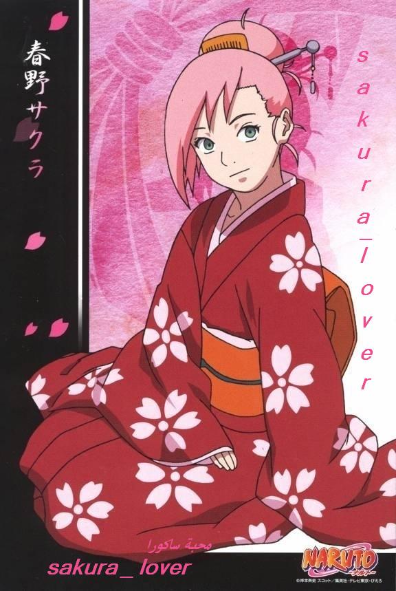    Sakura10