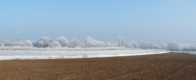 Coteau du Lyonnais en hiver P1040112