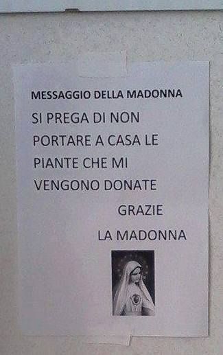 Messaggio dalla Madonna 41d49010