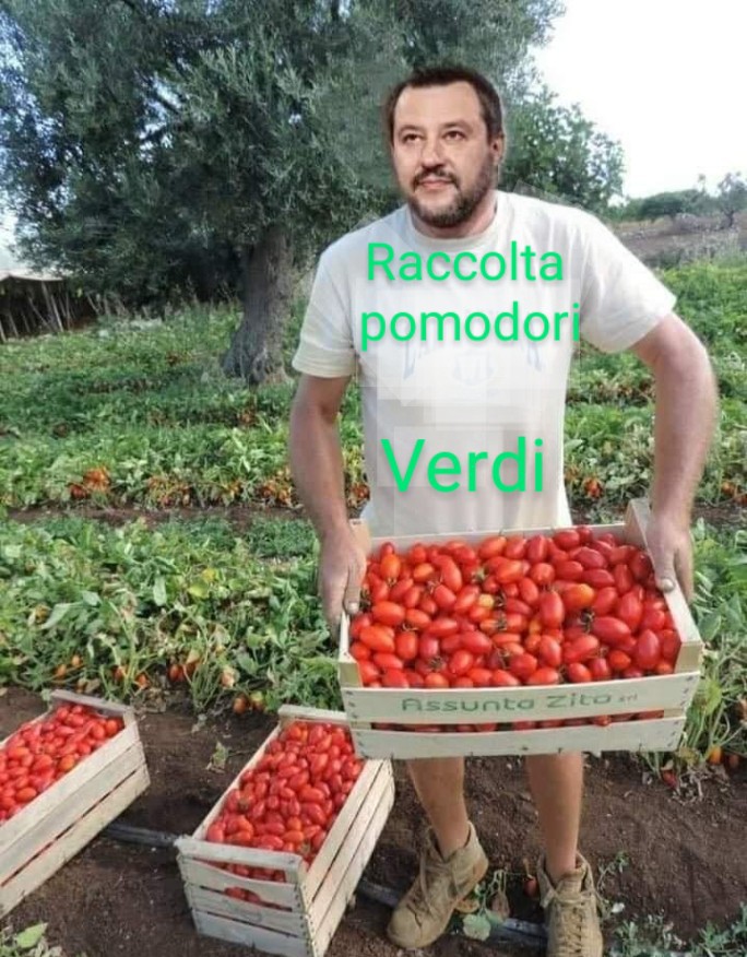 Salvini 5hbtxk10