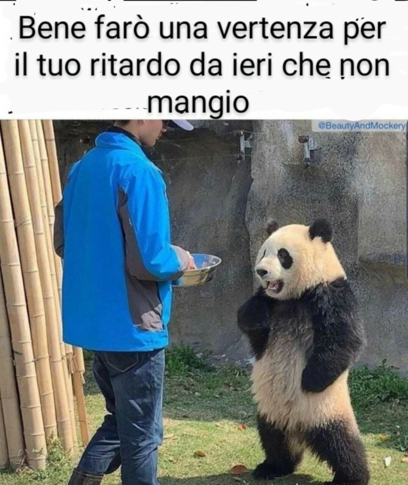 Meme di divertiamoci col lotto - Pagina 24 8c4b3710