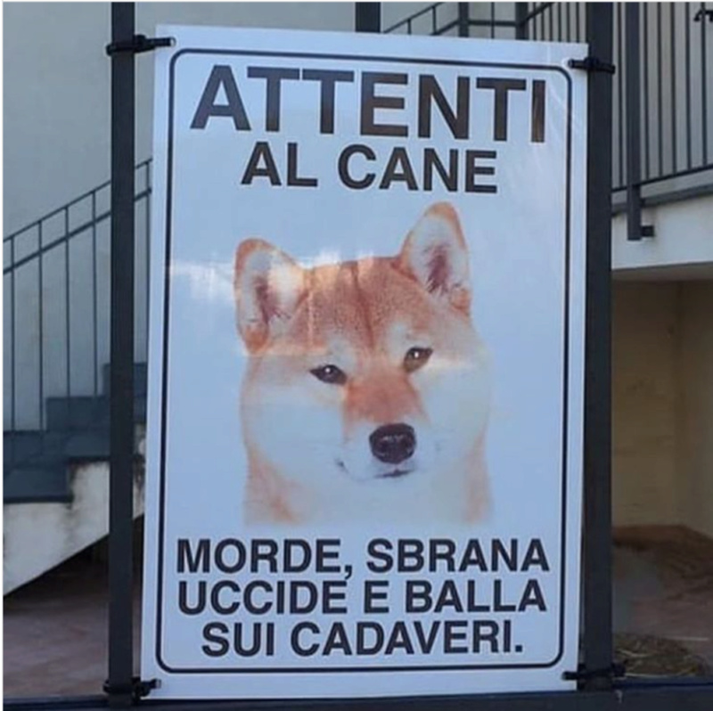 Meme del giorno - Pagina 13 Animal10