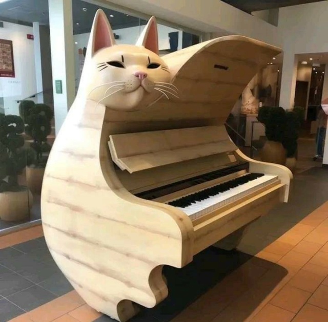 Gatto forte o piano gatto? Cysaho10