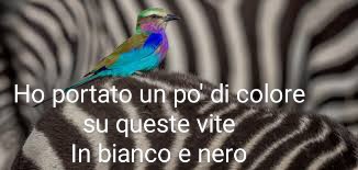 Divertiamoci con gli animali  Downlo57