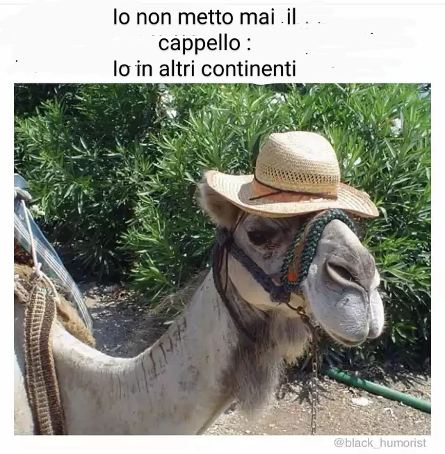 Meme divertiamoci con il lotto 2023 - Pagina 13 Dseki310